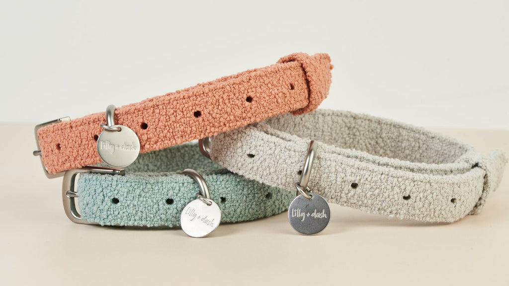 boucle collar - Lilly + Dash