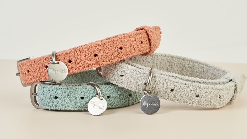 boucle collar - Lilly + Dash -  