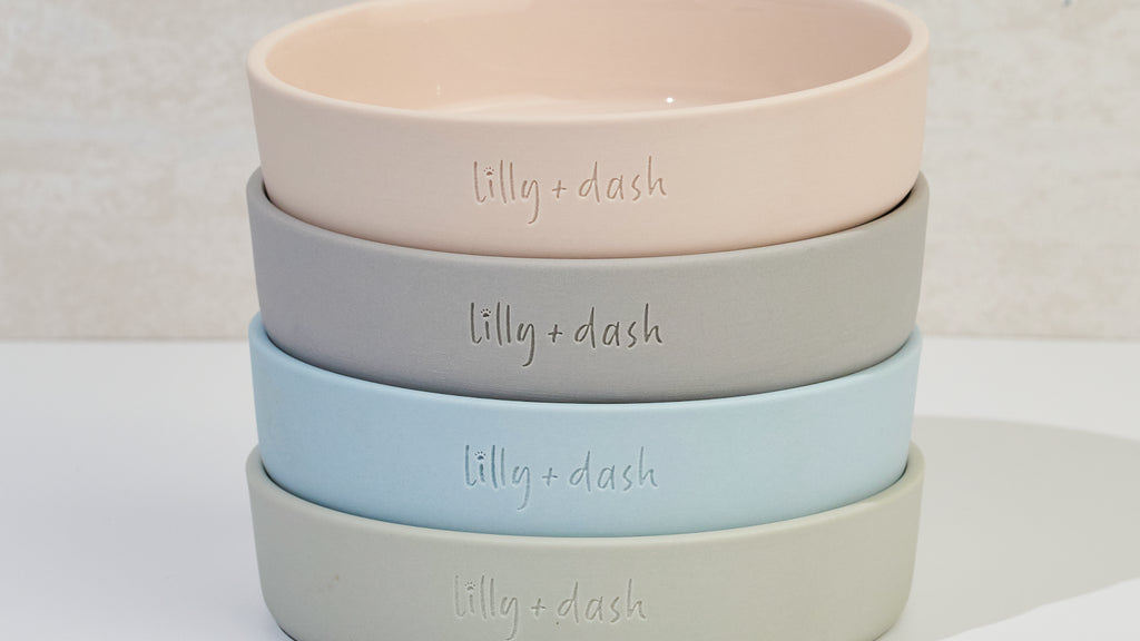 cat bowl - Lilly + Dash -  