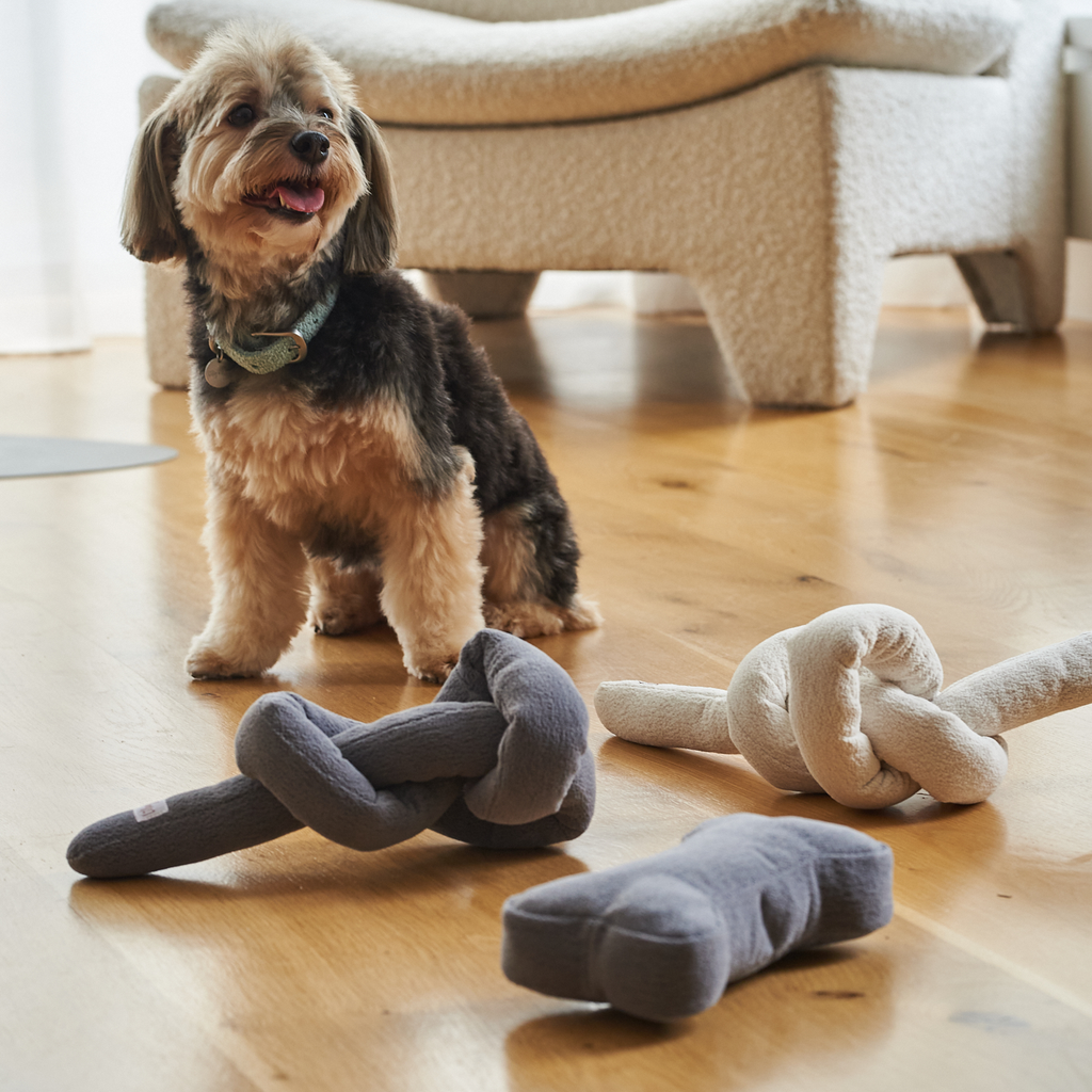 bone toy charcoal - Lilly + Dash -  