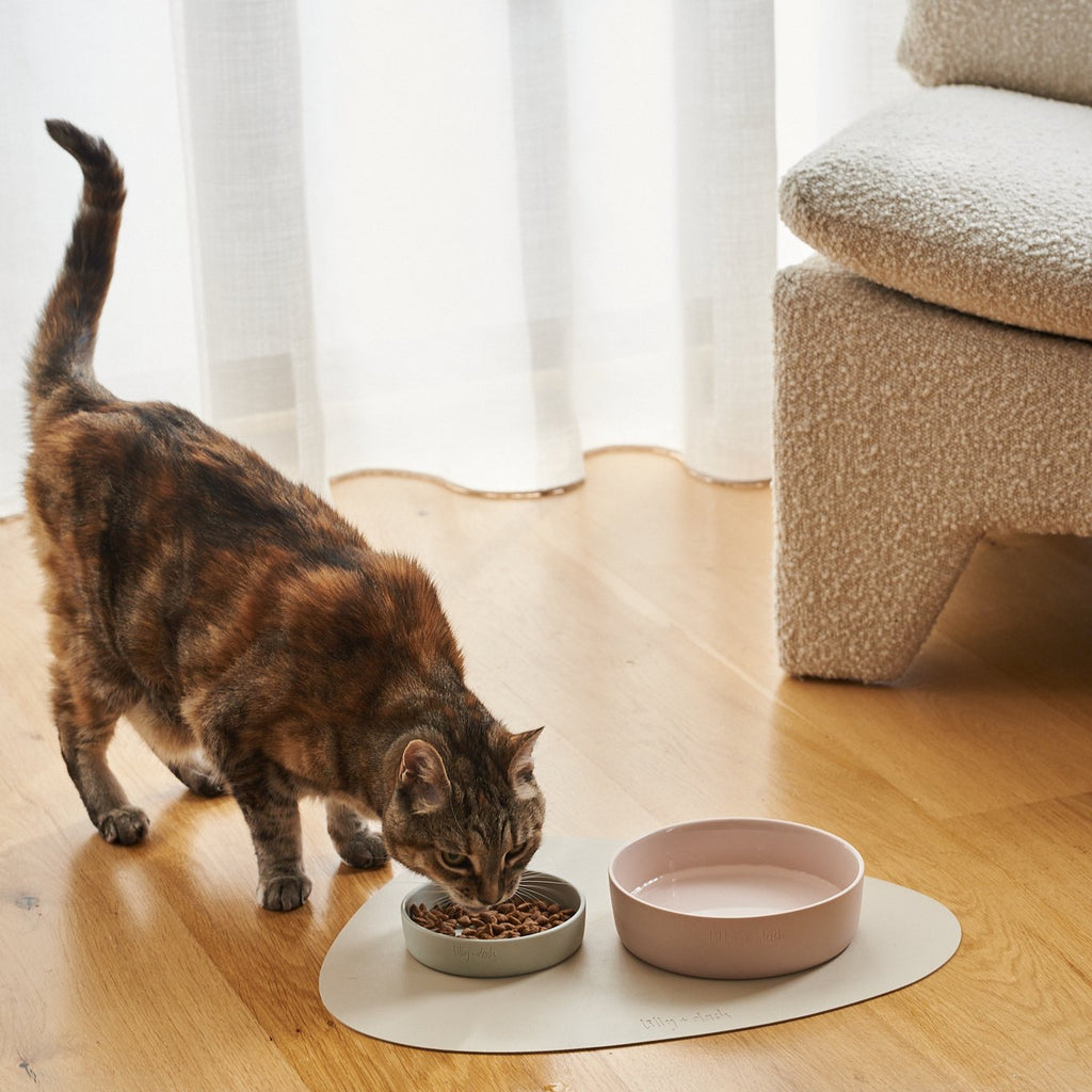 cat bowl rose quartz - Lilly + Dash