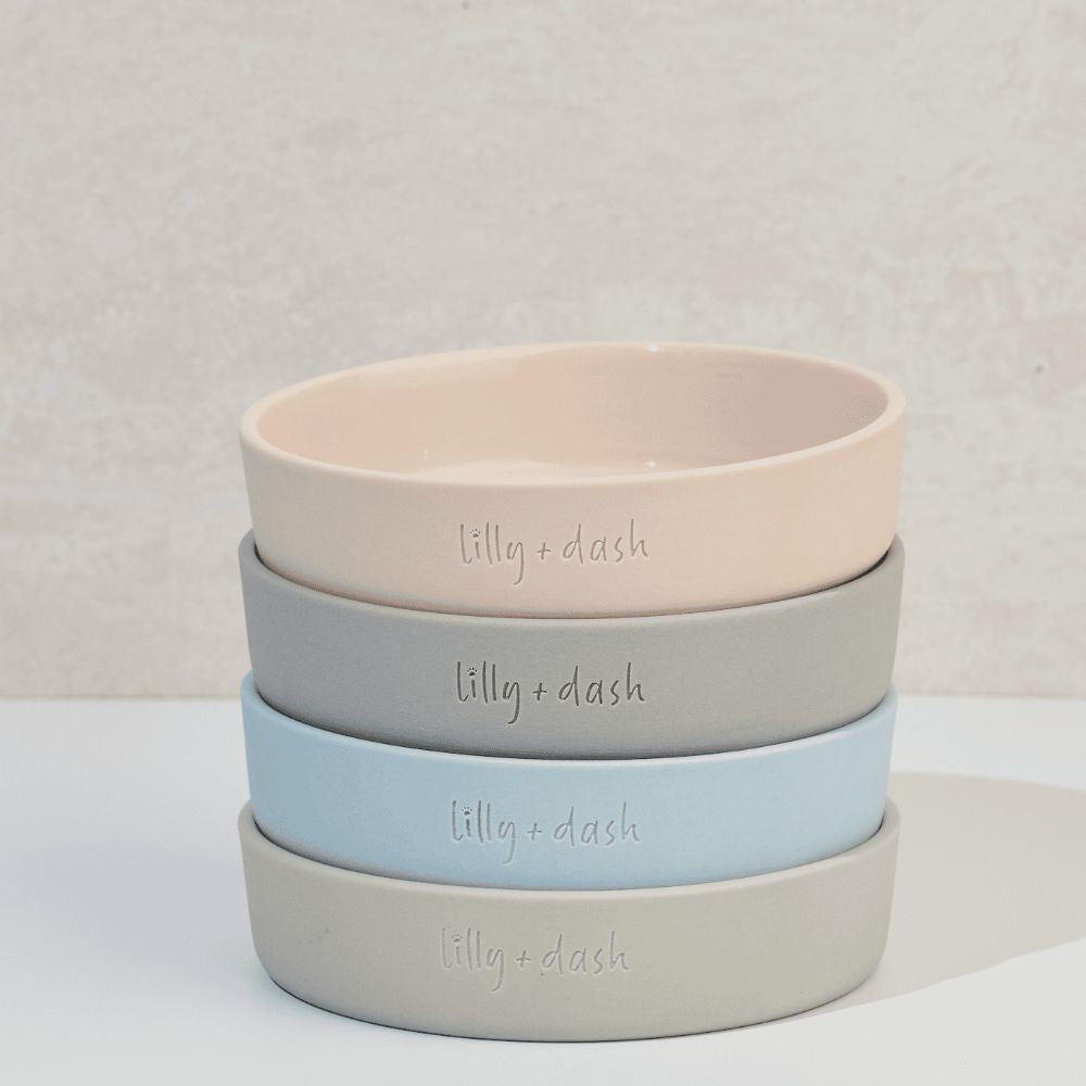 cat bowl slate - Lilly + Dash