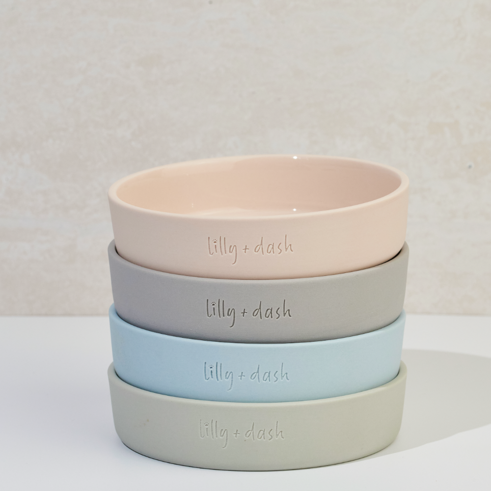 cat bowl slate - Lilly + Dash -  