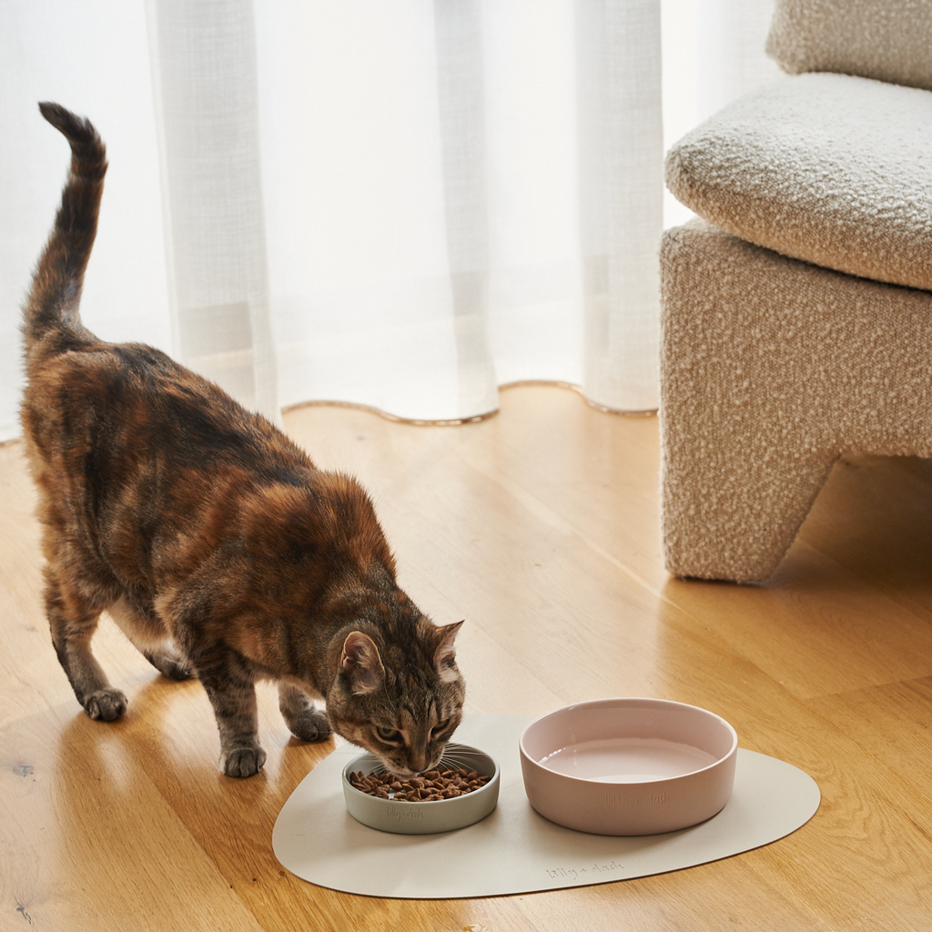 cat bowl slate - Lilly + Dash -  