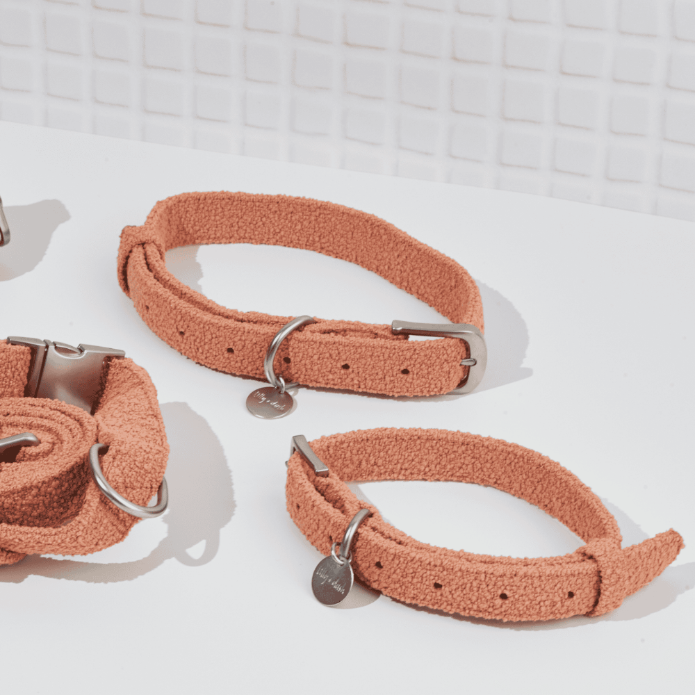 collar terracotta - Lilly + Dash -  