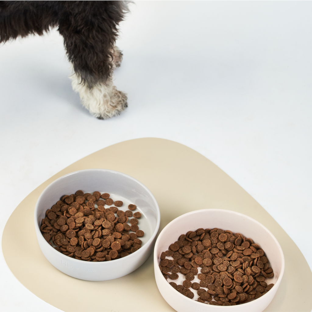 dog dining set - Lilly + Dash -  