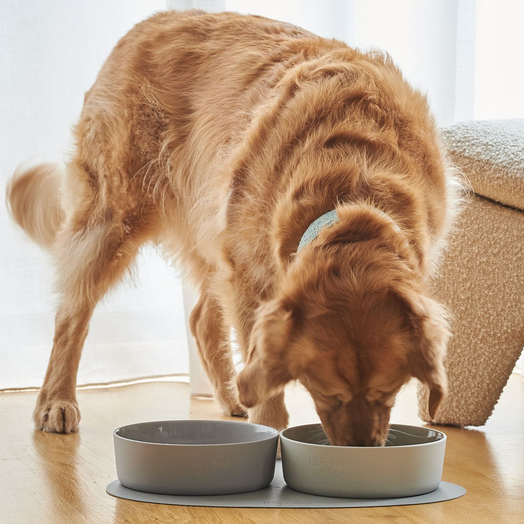 large pet bowl cloud - Lilly + Dash