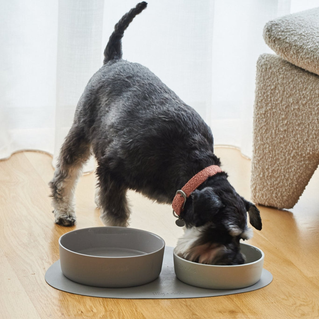 large pet bowl cloud - Lilly + Dash