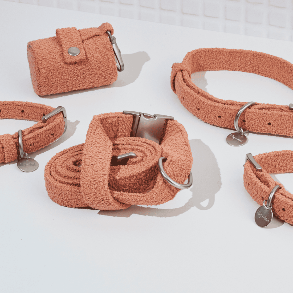 leash terracotta - Lilly + Dash -  