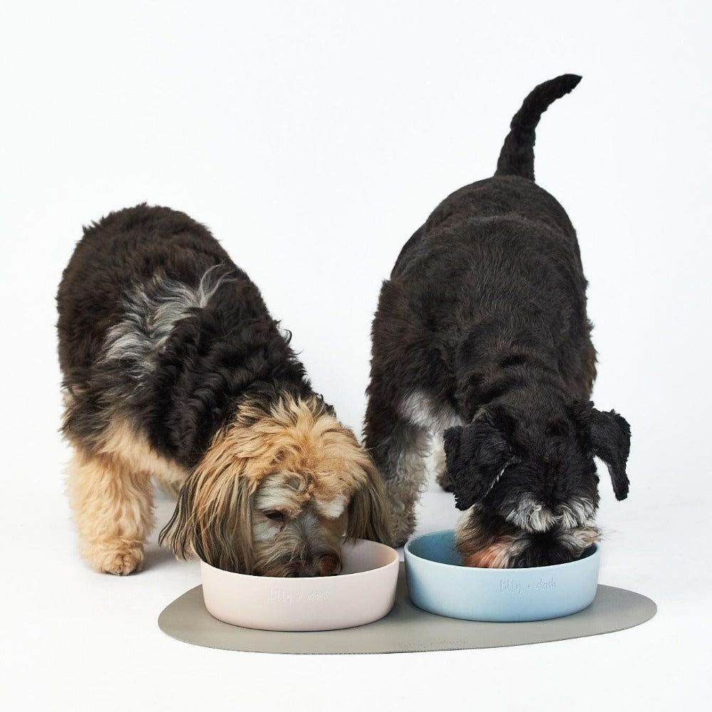 pet bowl cloud - Lilly + Dash -  